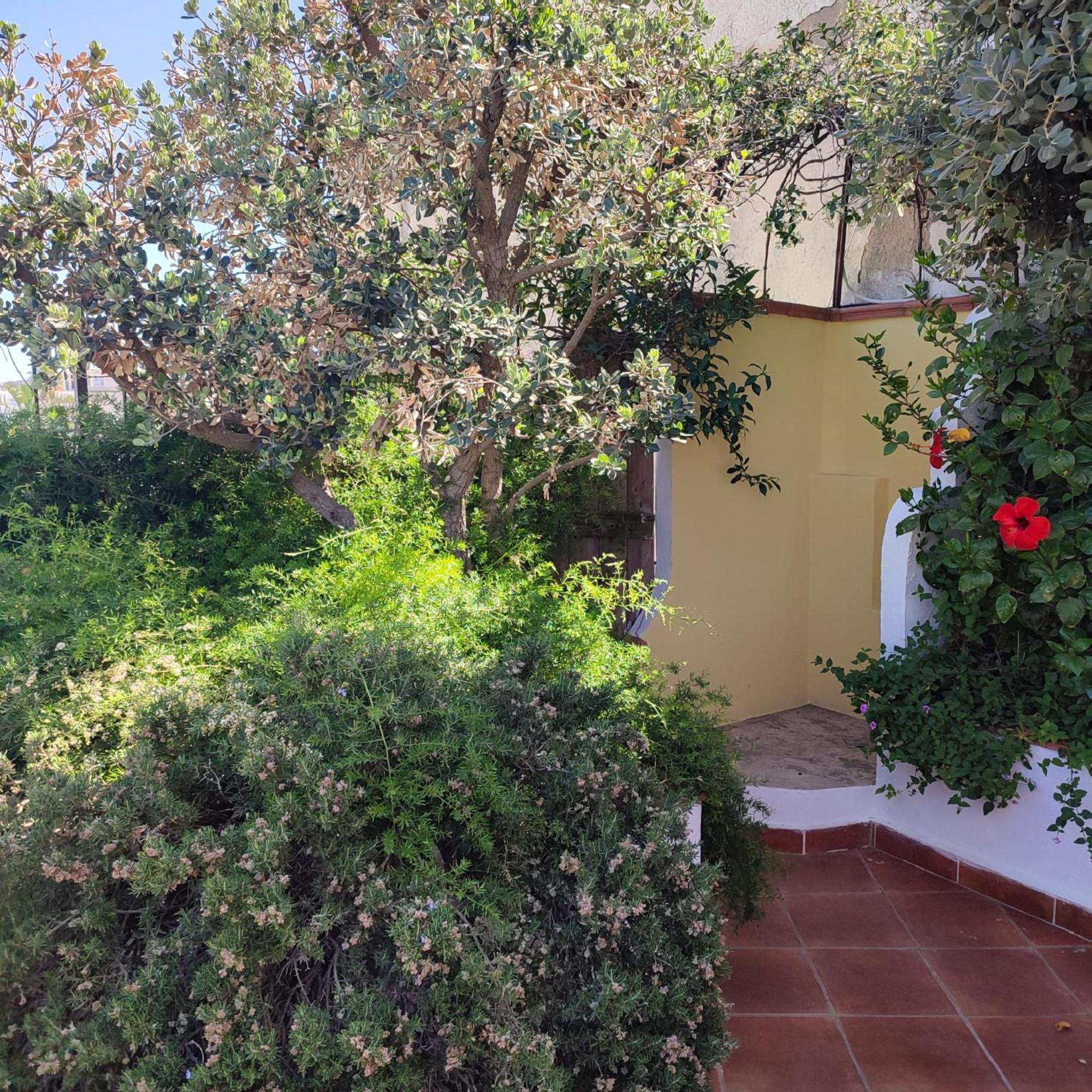 Hotel Villa Verde Forio (Isola d'Ischia) Exterior foto
